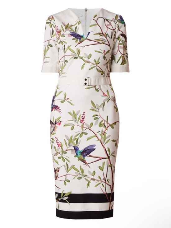Ted Baker Dresses & Skirts - EUC TED BAKER Everly Highgrove Hummingbird Blossom Bodycon Dress L/10